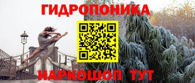 мяу мяу мука Чебоксары